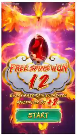 Free Spins