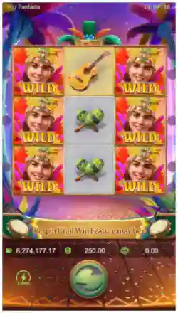 Stacked Wild Symbol