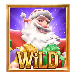 Wild Symbol