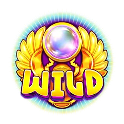 symbol wild