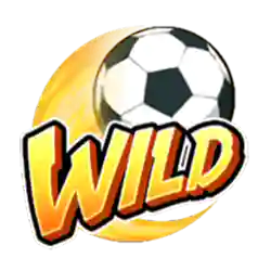 Wild Symbol