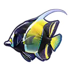 Symbol 03 Shark Bounty