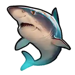 Multiplier of Shark Bounty Slot