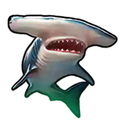 Multiplier of Shark Bounty Slot