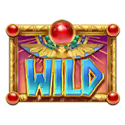 Wild Symbol