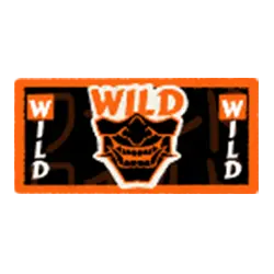 Wild Symbol