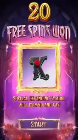 Free Spins