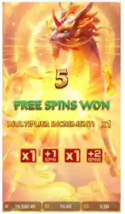 Free Spins +5