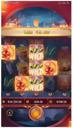 Stacked Wild Symbol