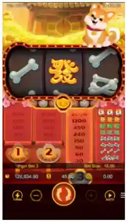 Multiplier Reel