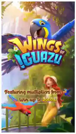 Splash Screen & Main Game