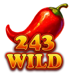 symbol wild