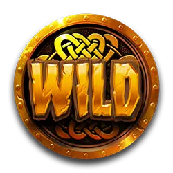 symbol wild