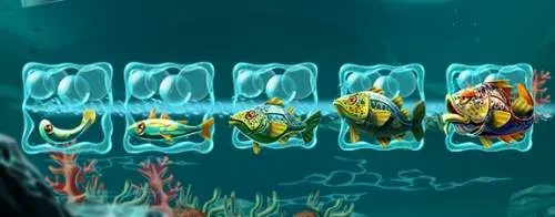 Fish Lines