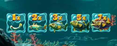 Money Fish