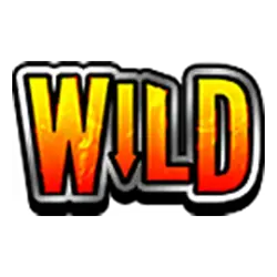 Symbol Wild