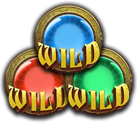 wild no multiplier