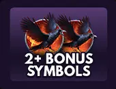 2+ Bonus Symbols