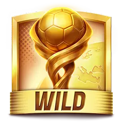 Scatter Wild Symbol