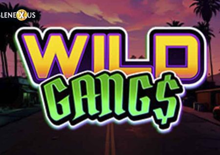 Wild Gangs