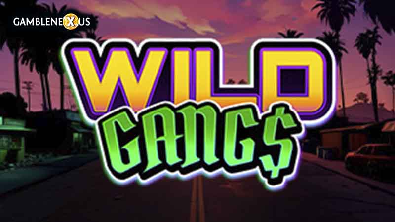 Wild Gangs
