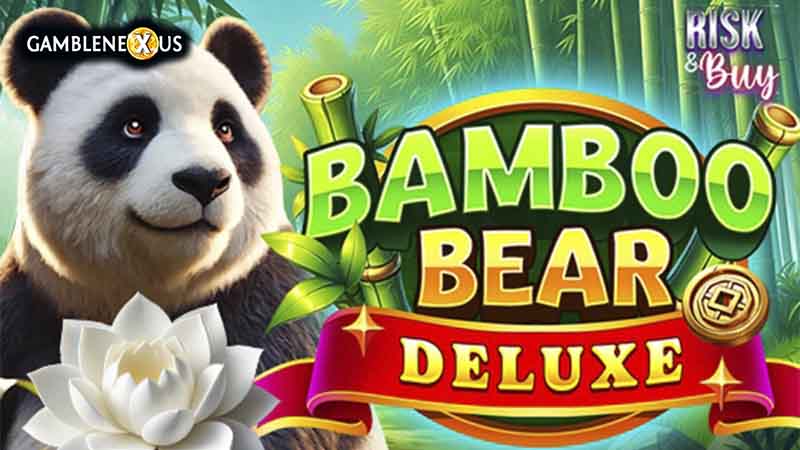 Bamboo Bear Deluxe