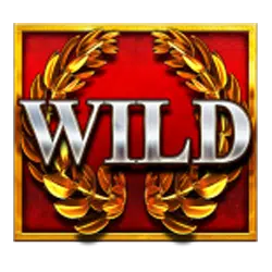 symbol wild