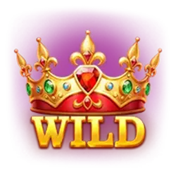 symbol Wild