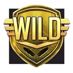 symbol wild