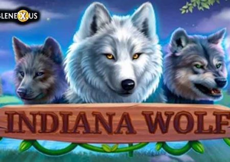 Indiana Wolf
