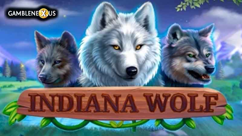 Indiana Wolf