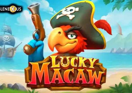 Lucky Macaw