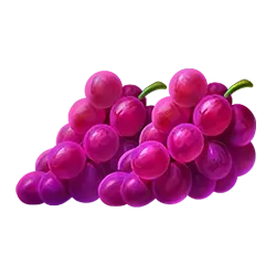 Symbol 05 Must Drop Jackpot Flame Fruits