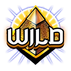 symbol wild