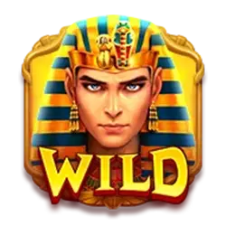 symbol wild