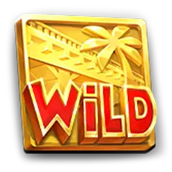 symbol wild