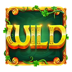 Symbol wild