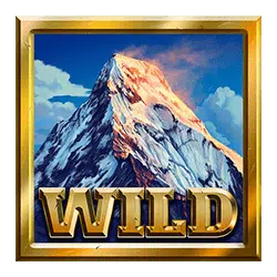 symbol wild