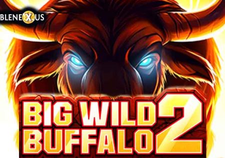Big Wild Buffalo 2