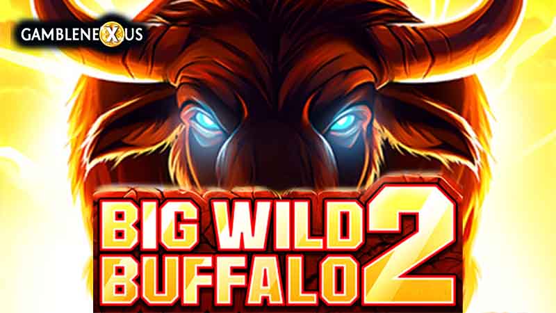 Big Wild Buffalo 2