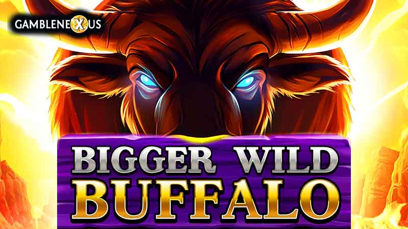 Bigger Wild Buffalo