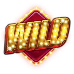 symbol wild
