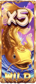 symbol wild x5