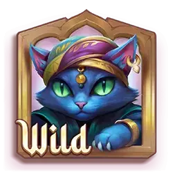 symbol wild