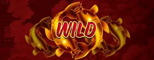 Wild