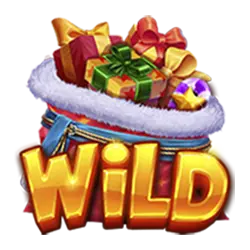 symbol wild