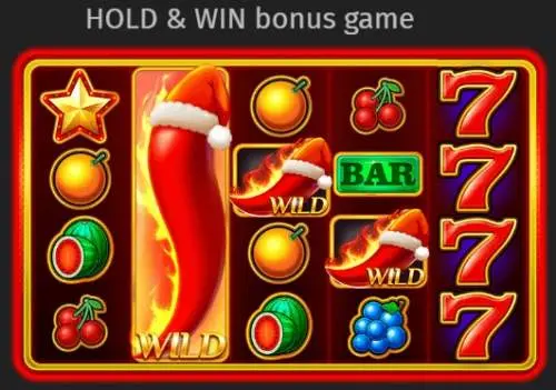 HOLD AND WIN Bonus Game