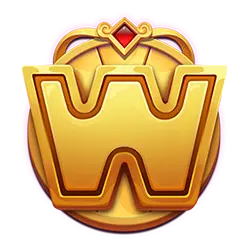 wild symbol