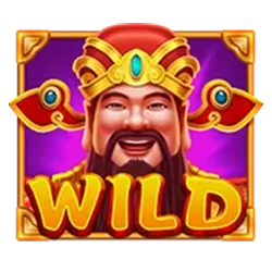 symbol wild