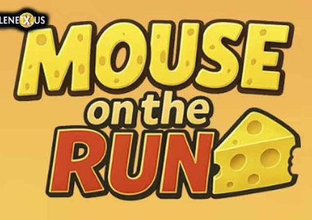 Mouse on the Run